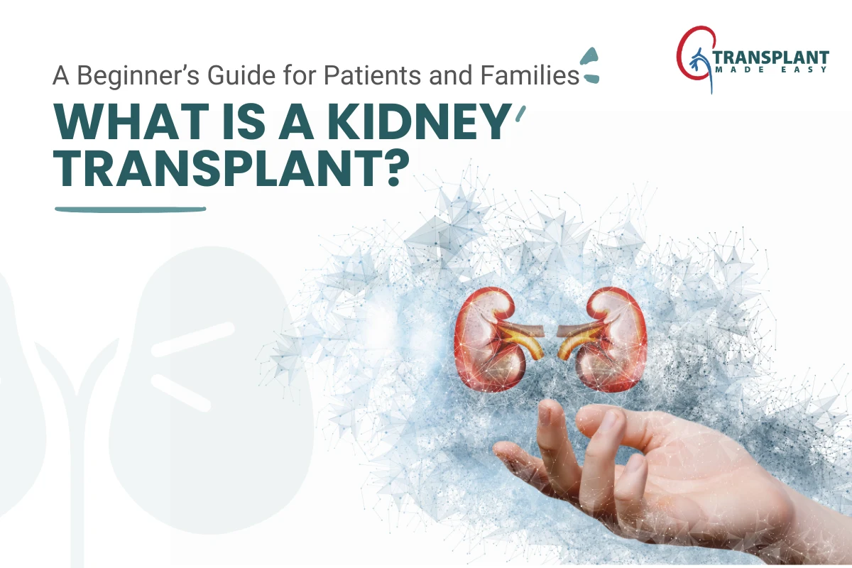 What Is a Kidney Transplant? A Beginner’s Guide for Patients and Families