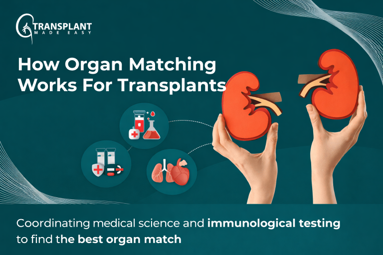 How Organ Matching Works For Transplants